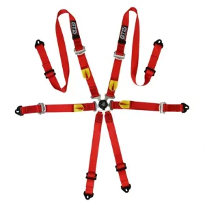 GT2I Sedan Harness Pro V3 FIA Approved 8853-2016 GT-HAR6HV4L.R - FMIC Tani